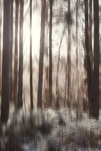 abstract forest blurred winter vertical lines / winter forest background, abstract landscape