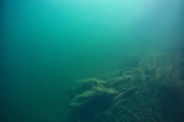 湖の背景水水中抽象 淡水ダイビングの背景自然水中生態系の背景 — ストック写真