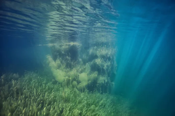 See Hintergrund Wasser Unterwasser Abstrakt Süßwasser Tauchen Hintergrund Natur Unterwasser — Stockfoto