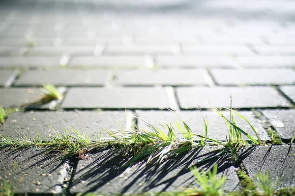 Abstract Paving Tiles Background — Stock Photo, Image