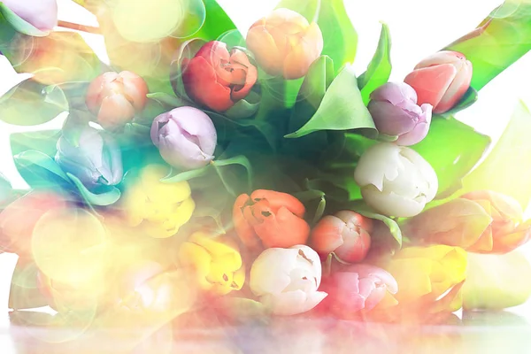Ramo Coloridos Tulipanes Flores Primavera Flores Hermosas Brillantes Concepto Regalo —  Fotos de Stock
