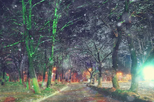 夜城市冬天或风景在1月城市灯装饰为假日 树在城市公园 冬天风景 — 图库照片