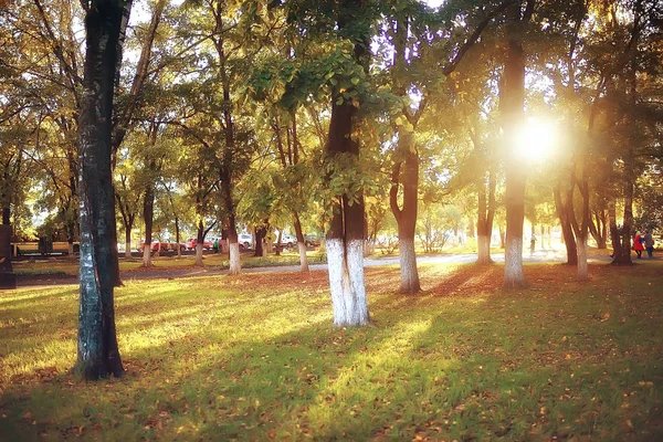 Cesta Podzimní Park Podzimní Krajina Žlutý Park Podzimních Stromech Listí — Stock fotografie