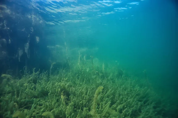 Екологія Стихійних Лих Річка Під Водою Ландшафтне Забруднення Екологія Під — стокове фото