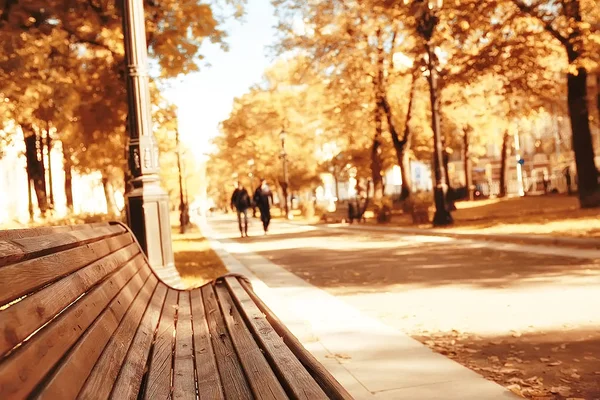 Пейзаж Осеннем Парке Скамейка Красивый Сад Скамейка Концепция Отдыха Никто — стоковое фото