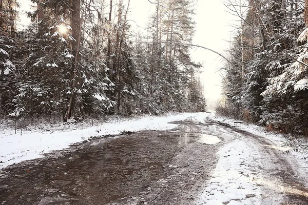 Invierno Aldea Rusa Paisaje Invernal Bosque Rusia Árboles Cubiertos Nieve — Foto de Stock