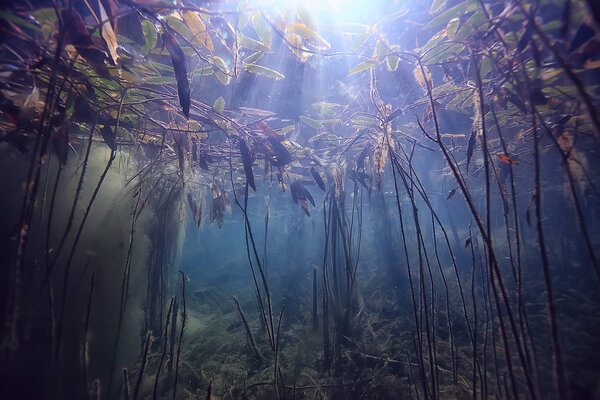 Disaster ecology river underwater / landscape pollution ecology underwater