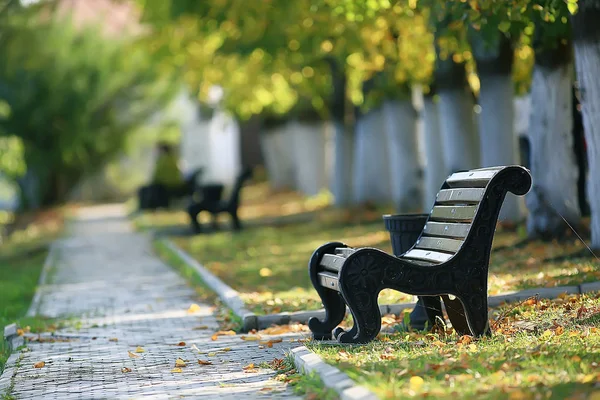 景观在秋季公园长凳 美丽的花园长凳 休息的概念 没有人在秋季公园 景观背景 — 图库照片
