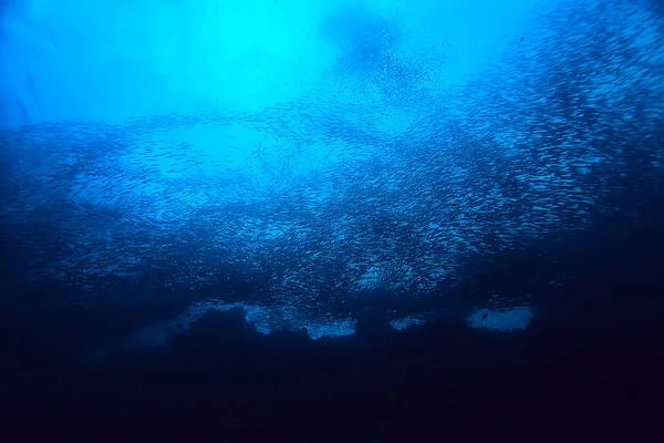 Water Ocean Landscape Underwater World Scene Blue Idyll Nature — Stock Photo, Image