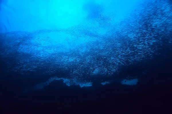 Sous Eau Océan Paysage Monde Sous Marin Scène Bleu Idylle — Photo