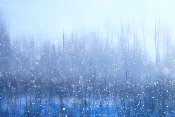 Las Śnieg Niewyraźne Tło Zima Krajobraz Pokryte Śniegiem Lasów Drzew — Zdjęcie stockowe