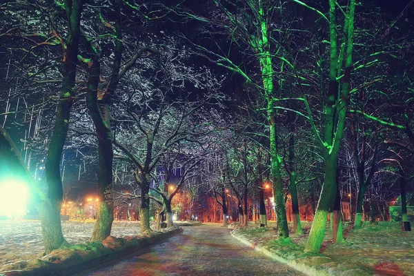 Zimní Krajinné Město Lednu Městské Osvětlení Prázdniny Stromy Městském Parku — Stock fotografie