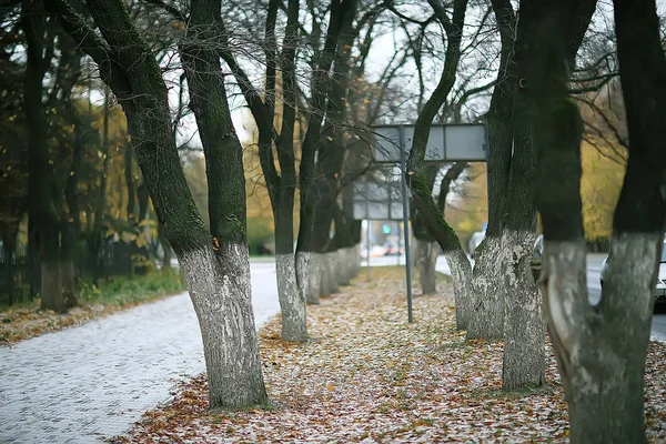 Camino Otoño Parque Otoño Paisaje Parque Amarillo Árboles Hojas Otoño — Foto de Stock