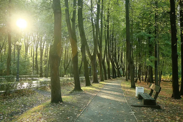 秋の公園のベンチの風景 美しい庭のベンチ 休息の概念 秋の公園で誰も 風景の背景 — ストック写真