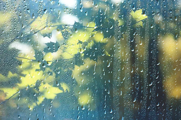 公園で春の日 窓を通して公園内の春の風景のビュー ガラス上の雨滴 — ストック写真