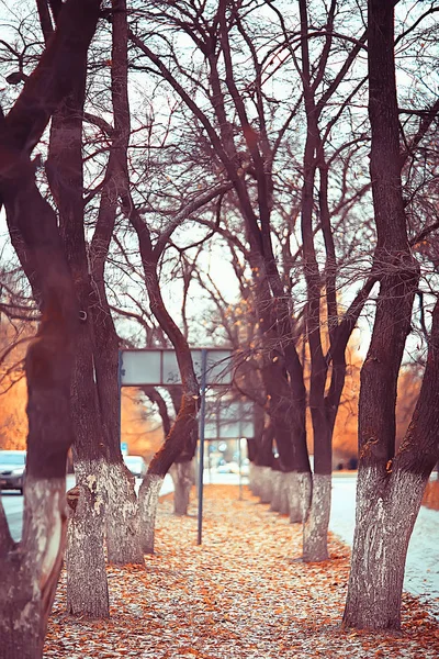 Yol Sonbahar Parkı Sonbahar Peyzaj Sarı Park Sonbahar Ağaçları Yaprakları — Stok fotoğraf