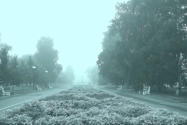 街の公園の霧 路地で秋の風景の朝 市内の霧の風景 市内の木々 — ストック写真