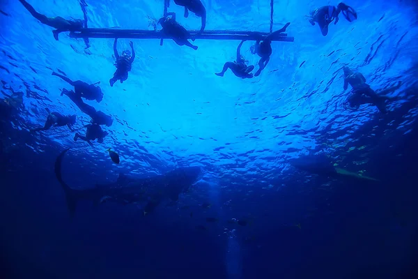 Gente Del Barco Bucea Bajo Agua Vista Abstracta Paisaje Submarino — Foto de Stock