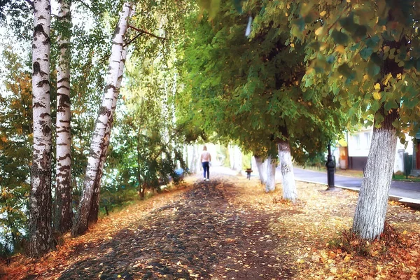 Sentiero Parco Autunnale Paesaggio Autunnale Parco Giallo Tra Alberi Foglie — Foto Stock