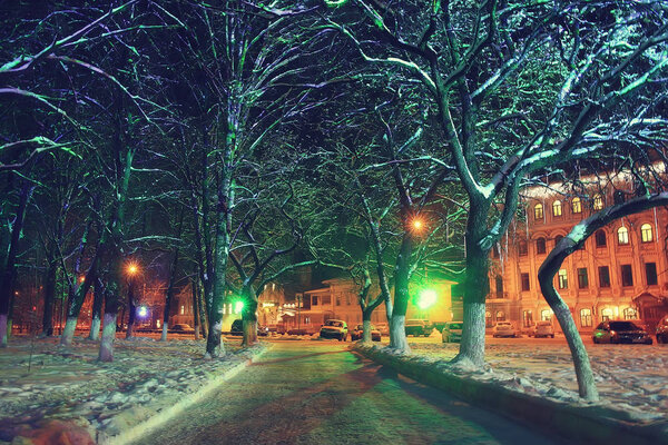 Night city winter / landscape in January city lights decorated for holidays, trees in a city park, winter landscape