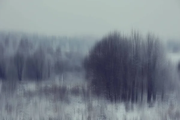 Astratto Foresta Offuscata Inverno Linee Verticali Inverno Sfondo Foresta Paesaggio — Foto Stock