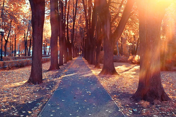 Μονοπάτι Φθινοπωρινό Πάρκο Φθινοπωρινό Τοπίο Κίτρινο Πάρκο Στα Φθινοπωρινά Δέντρα — Φωτογραφία Αρχείου