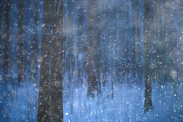 森の雪は 冬の風景をぼかした雪に覆われた森 木や冬の天気の枝 — ストック写真