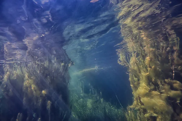 Lago Paisagem Subaquática Abstrato Azul Água Transparente Eco Proteção Natureza — Fotografia de Stock