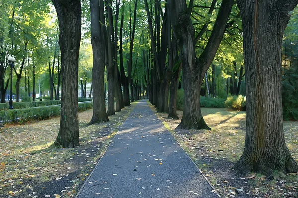 Sentier Parc Automne Paysage Automne Parc Jaune Dans Les Arbres — Photo