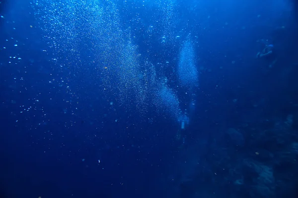 Mundo Submarino Mar Azul Desierto Océano Mundial Increíble Bajo Agua —  Fotos de Stock