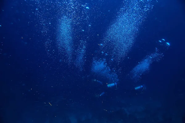 Underwater World Blue Sea Wilderness World Ocean Amazing Underwater — Stock Photo, Image