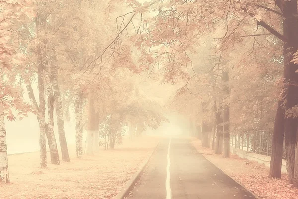 Sepia Jesień Park Krajobraz Jesień Krajobraz Stylu Vintage Sepia Pomarańczowy — Zdjęcie stockowe