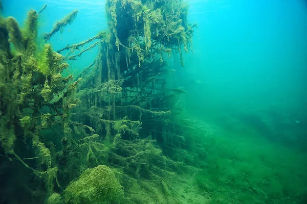 Meer Onderwater Landschap Abstract Blauw Transparant Water Eco Natuurbescherming Onderwater — Stockfoto