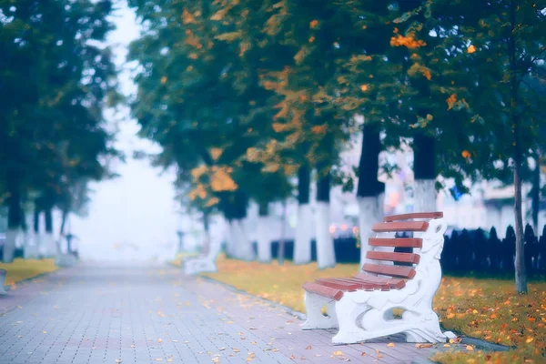 Podzimní Krajinné Dopoledne Mlze Uličce Městském Parku Mlhavé Krajině Městě — Stock fotografie