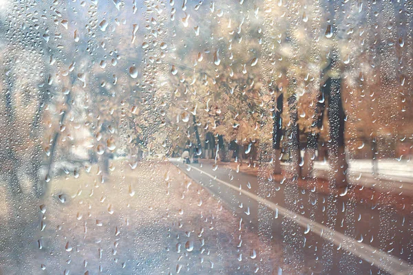 背景湿玻璃下落秋天在公园 风景风景在秋天公园从一个湿窗口 雨天的概念在秋天天 — 图库照片