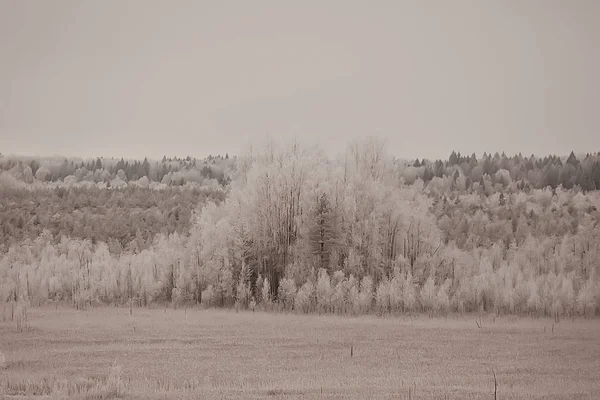 Invierno Aldea Rusa Paisaje Invernal Bosque Rusia Árboles Cubiertos Nieve —  Fotos de Stock