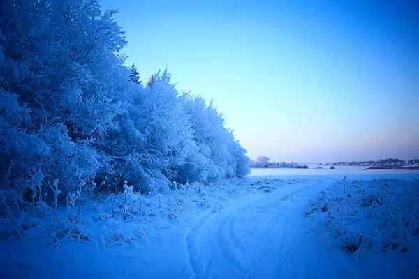 Paysage Hivernal Dans Forêt Temps Neigeux Janvier Beau Paysage Dans — Photo