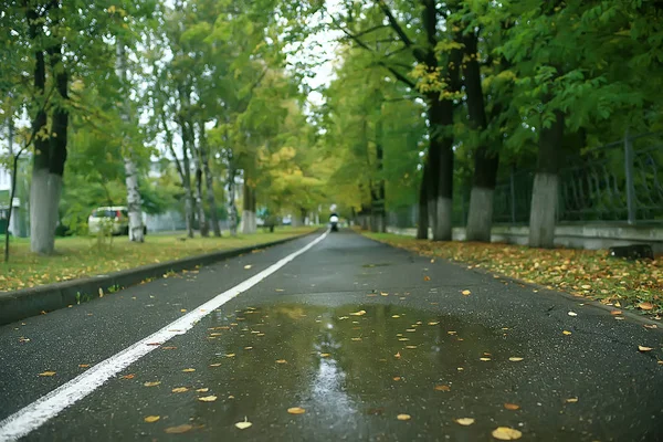 秋の濡れた葉の背景 秋の背景 木々から落ちた黄色の葉 葉の秋 秋の公園 — ストック写真