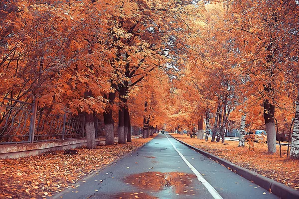 Weg Herbstpark Herbstlandschaft Gelber Park Herbstbäumen Und Blättern Ein Schöner — Stockfoto