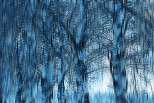 Abstract Bos Wazig Winter Verticale Lijnen Winter Bos Achtergrond Abstract — Stockfoto