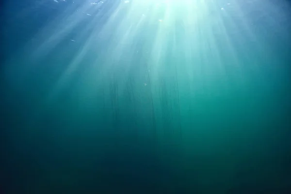 Νερό Ωκεανού Μπλε Φόντο Υποβρύχιες Ακτίνες Ήλιου Αφηρημένο Μπλε Φόντο — Φωτογραφία Αρχείου