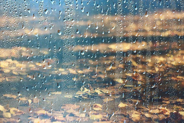 Fond Verre Mouillé Gouttes Automne Dans Parc Vue Sur Paysage — Photo