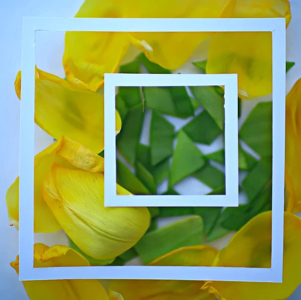 Žluté Okvětní Pozadí Abstraktní Pozadí Plátky Jarního Květu Rámu — Stock fotografie