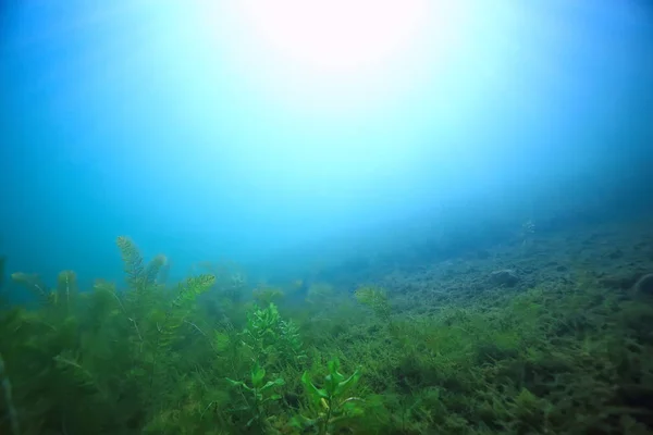 See Unterwasserlandschaft Abstrakt Blaues Transparentes Wasser Öko Naturschutz Unter Wasser — Stockfoto