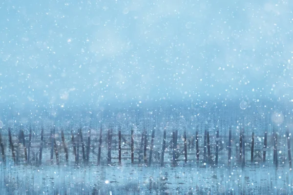 Rus Köyünde Kış Kış Manzarası Rusya Orman Eyalette Karla Kaplı — Stok fotoğraf
