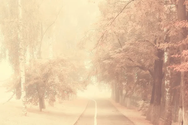 Sépia Outono Parque Paisagem Outono Paisagem Estilo Vintage Sépia Laranja — Fotografia de Stock