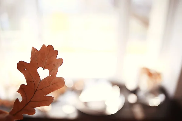 Jesień Serce Dąb Żółty Liść Serce Symbol Jesienią Dekoracji Koncepcja — Zdjęcie stockowe