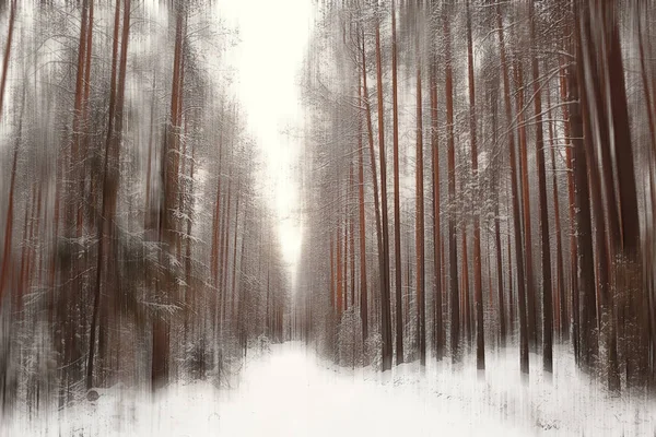 Abstrato Floresta Borrada Inverno Vertical Linhas Inverno Floresta Fundo Paisagem — Fotografia de Stock