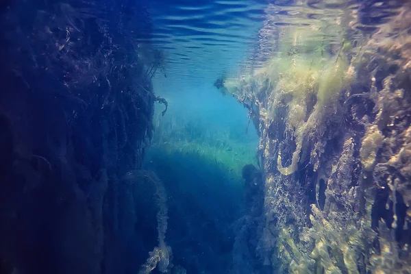 Podwodny Zielony Krajobraz Natura Podwodne Eko Ekologia Jezioro Dziki Nurkowanie — Zdjęcie stockowe