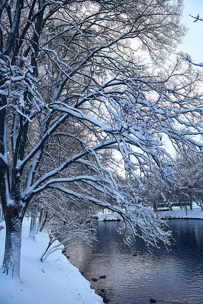 Abstrakte Hintergrund Landschaft Winter Wald Frostbedeckten Ästen Schnee Wetter Weihnachten — Stockfoto